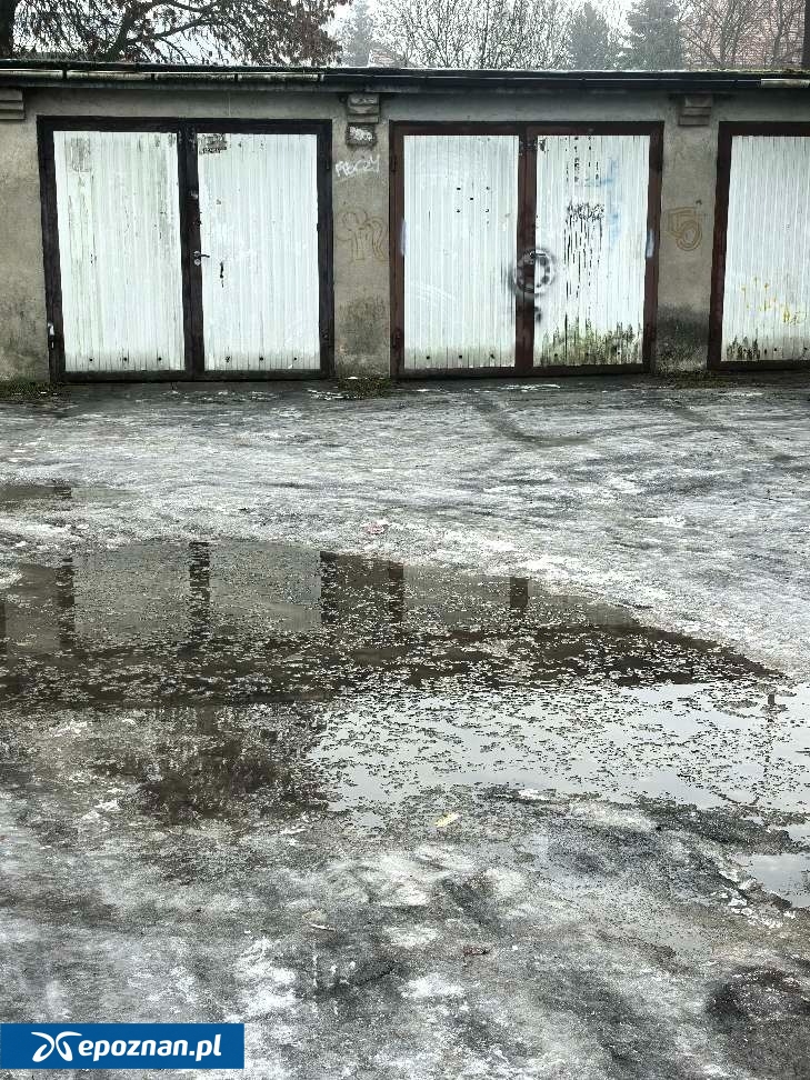 fot. Czytelnik
