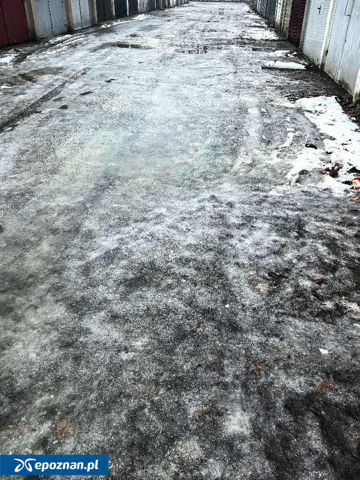 fot. Czytelnik