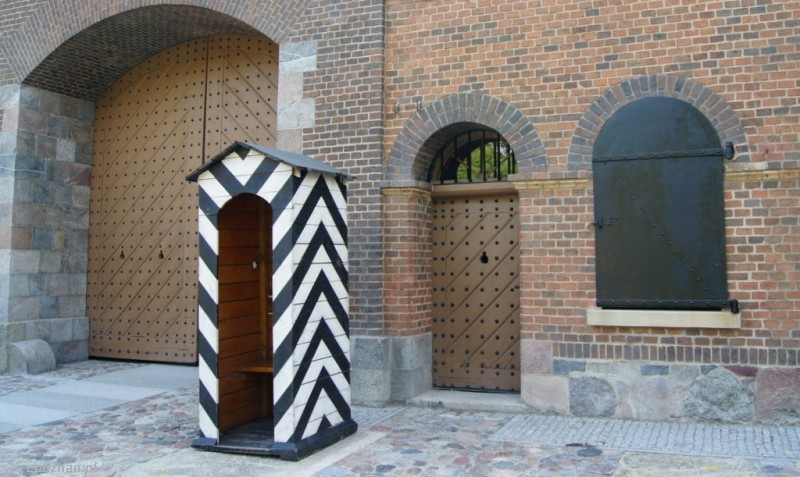 fot. Włodzimierz Hoppel