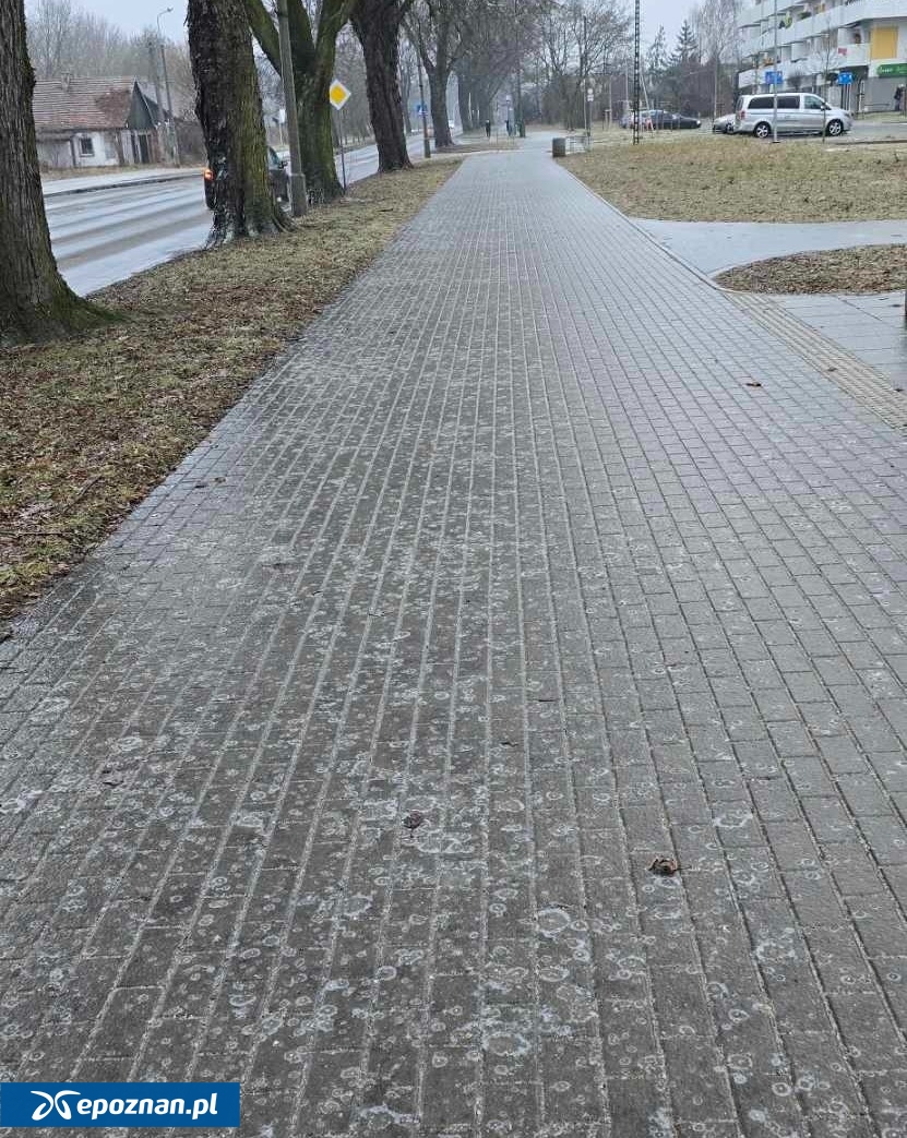 Opolska o 9.00 | fot. Czytelnik