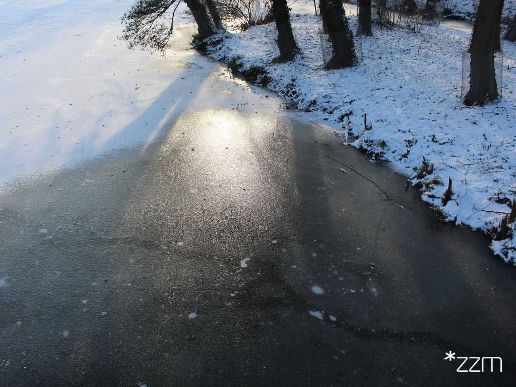 fot. ZZM Poznań