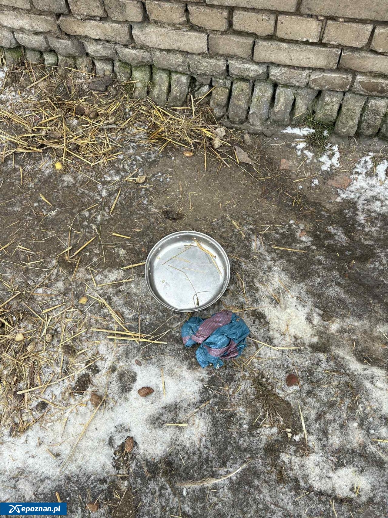 fot. Straż Miejska Gostyń / FB