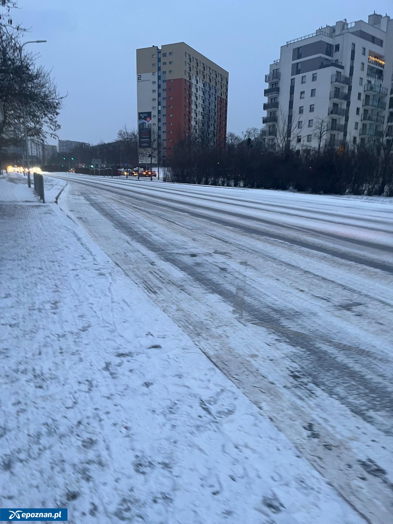 fot. Czytelniczka