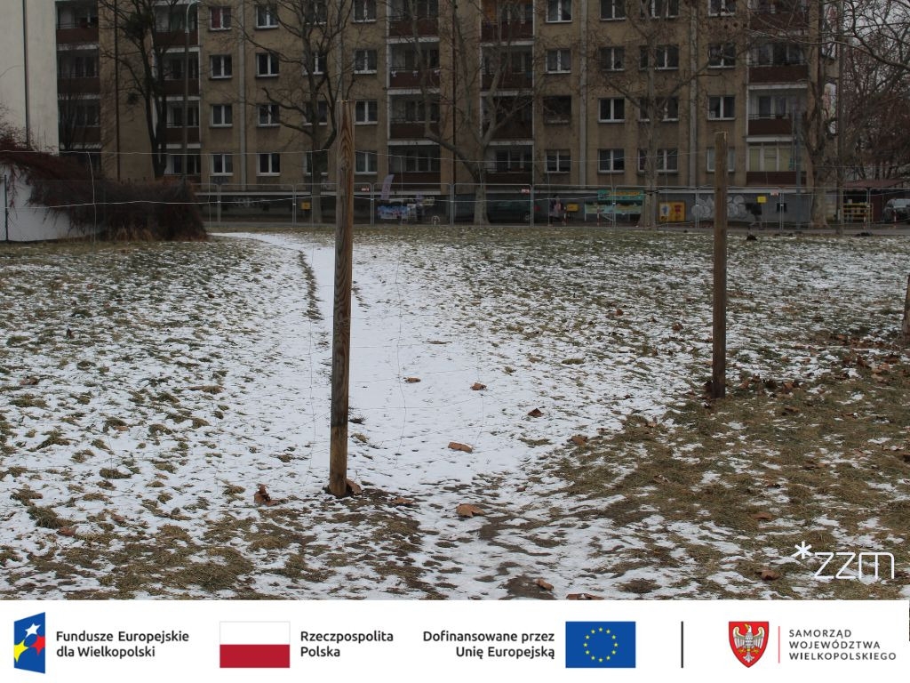 fot. ZZM Poznań