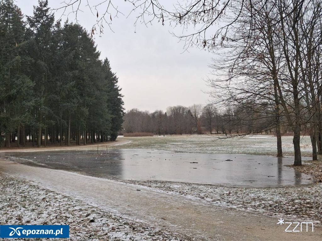 fot. ZZM Poznań