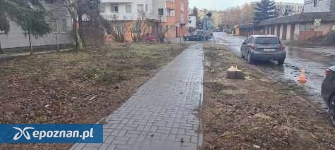 Tak jest | fot. Dominika