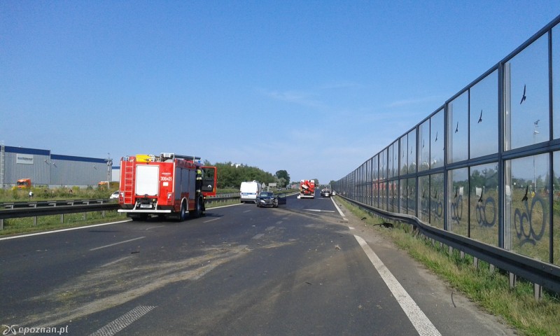 fot. B. Ratajczak
