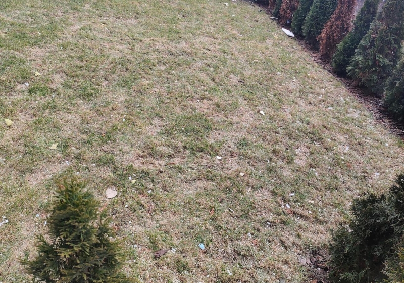 fot. Czytelnik