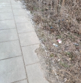 fot. Czytelnik