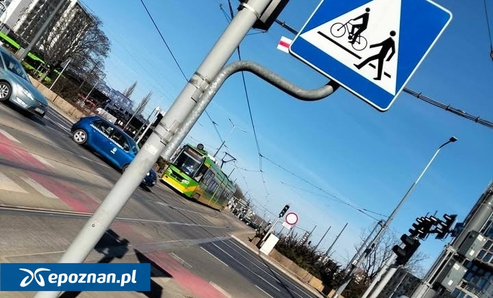 fot. Czytelniczka