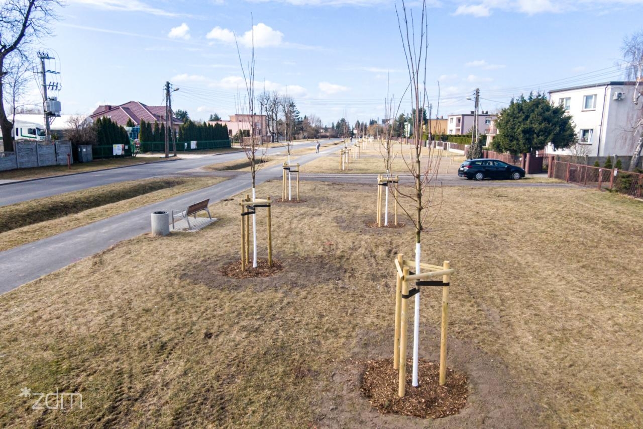 fot. ZDM Poznań