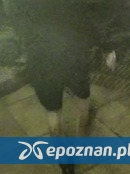 fot. policja