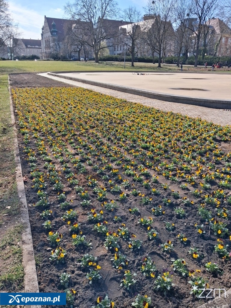 fot. ZZM Poznań