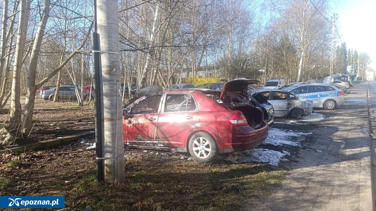 fot. Policja