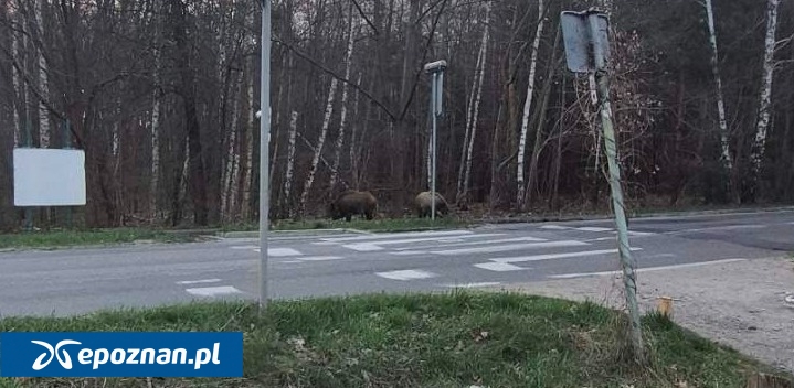 fot. Czytelnik