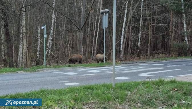fot. Czytelnik