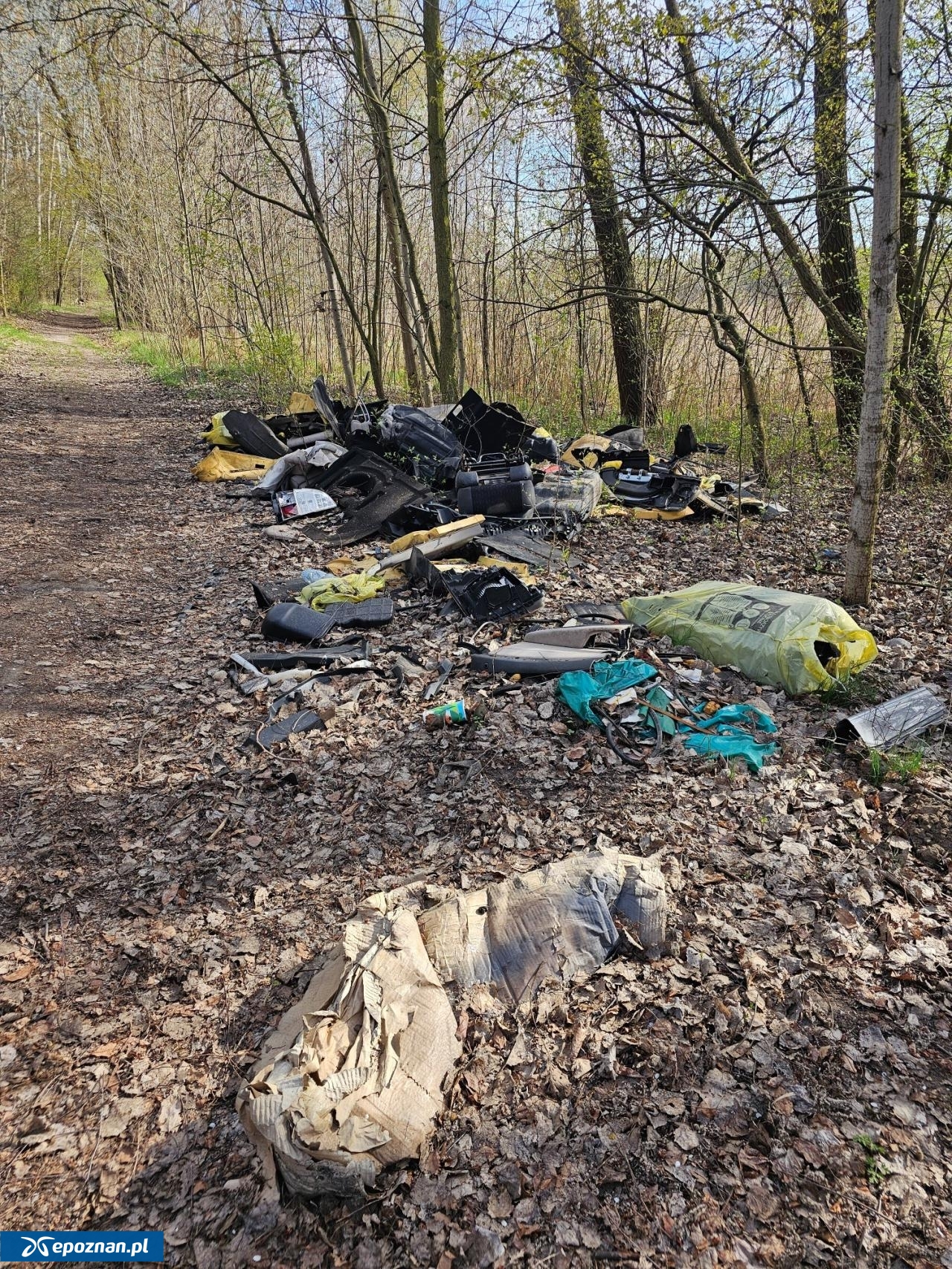 fot. Czytelniczka
