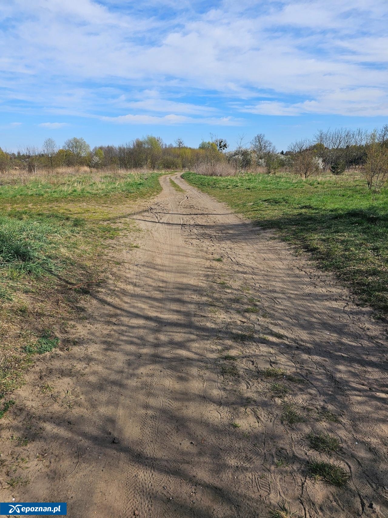 fot. Czytelniczka