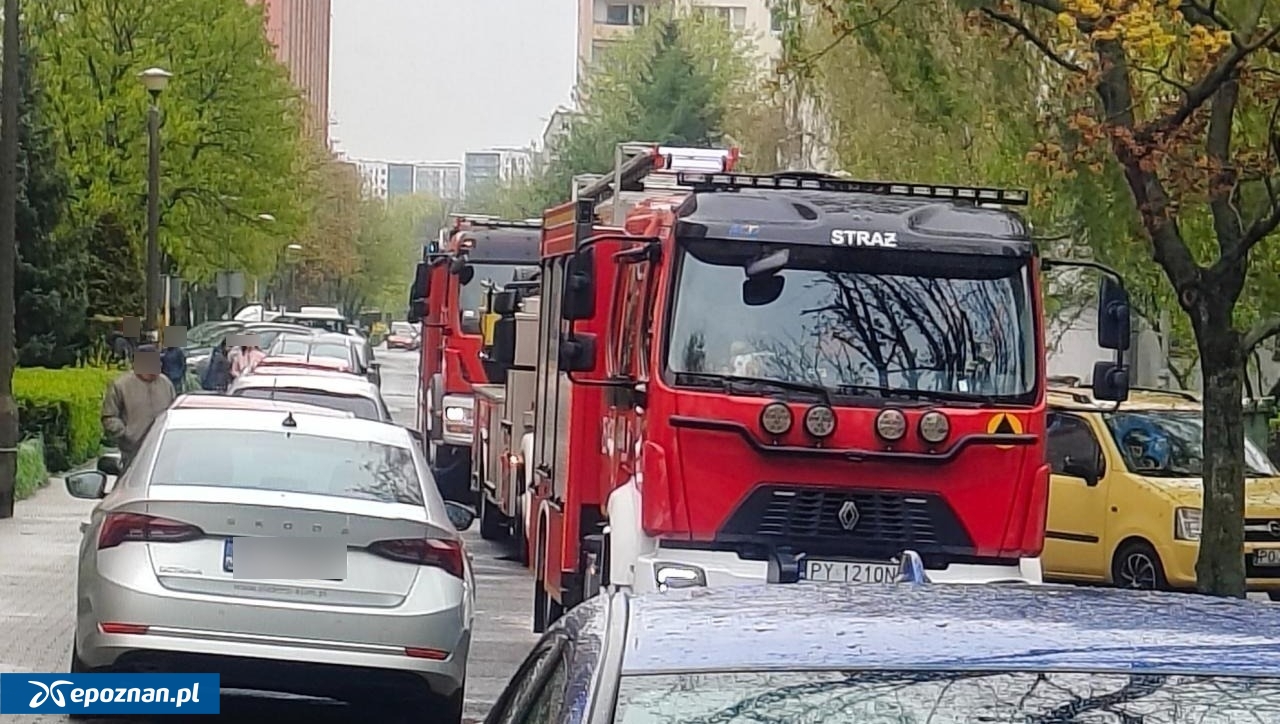 fot. Czytelnik