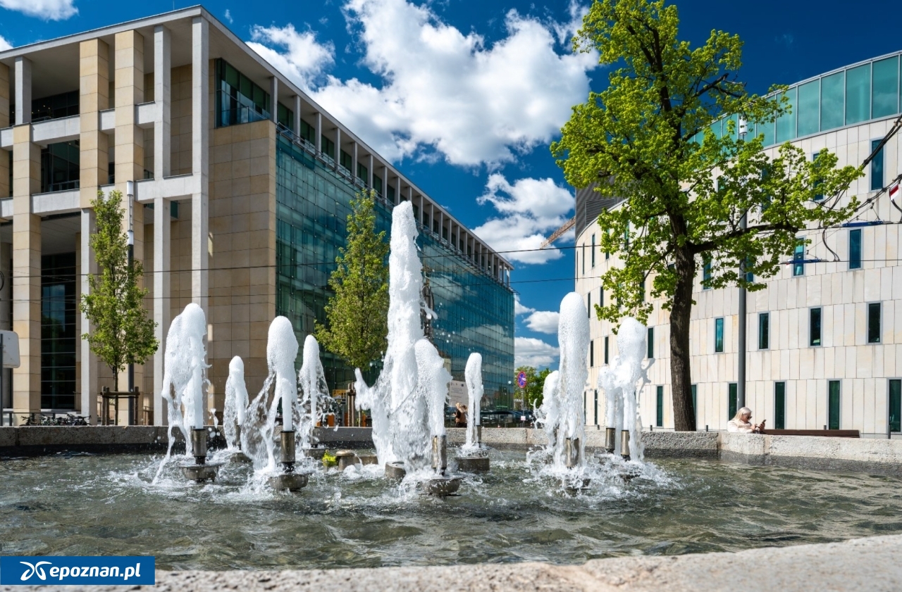 fot. UM Poznań