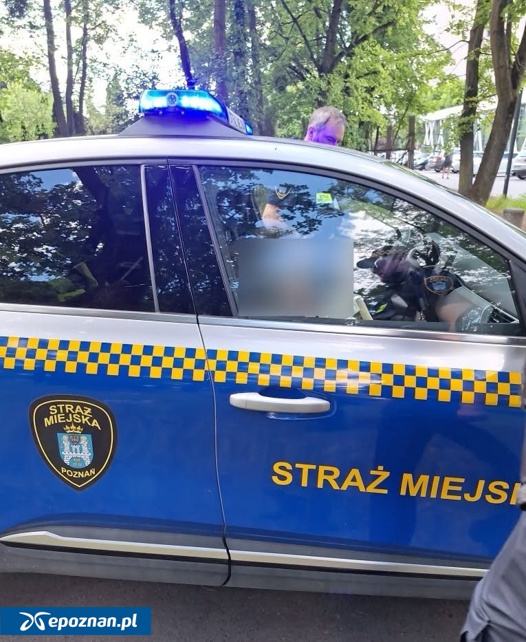 fot. Straż Miejska Miasta Poznania