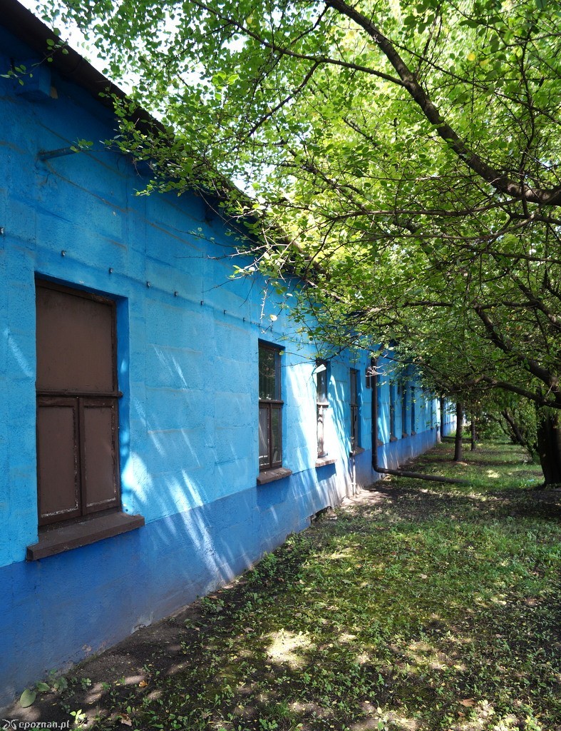 fot. Włodzimierz  Hoppel