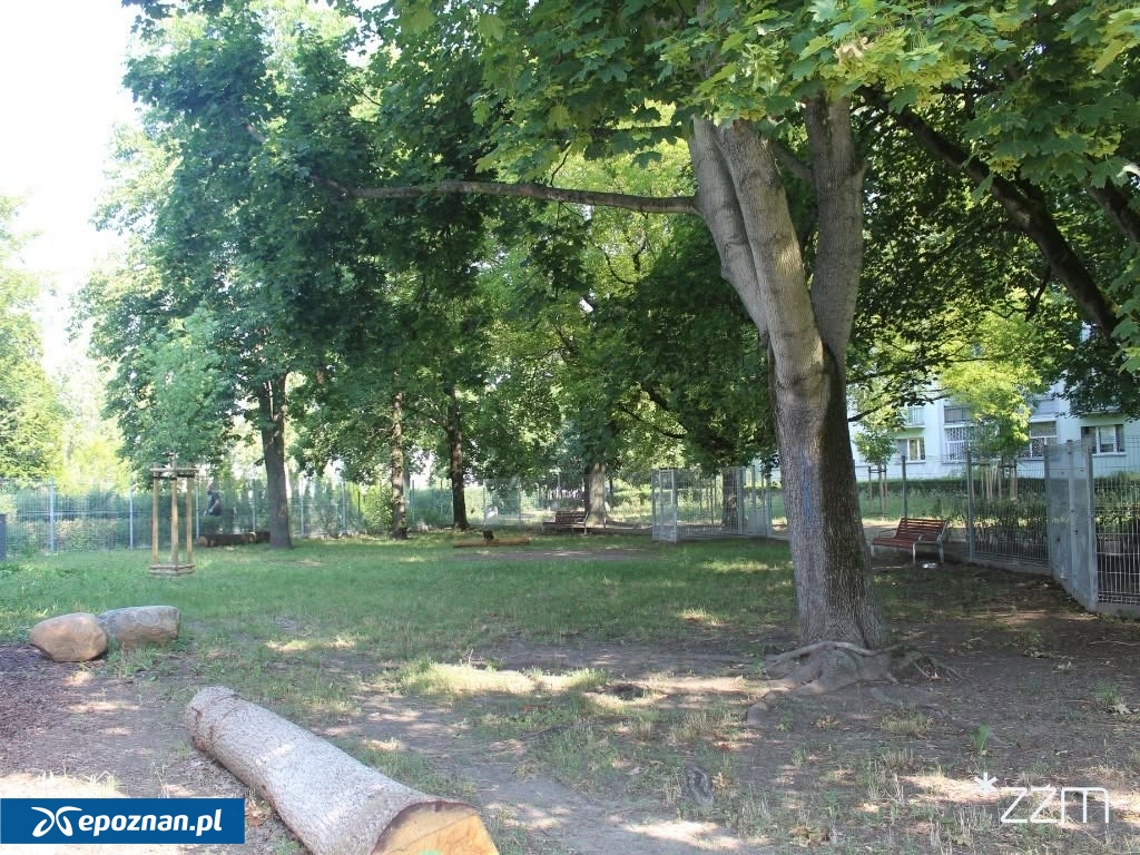 fot. ZZM Poznań