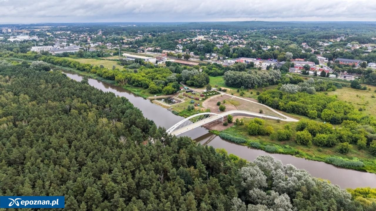 fot. UM Poznań