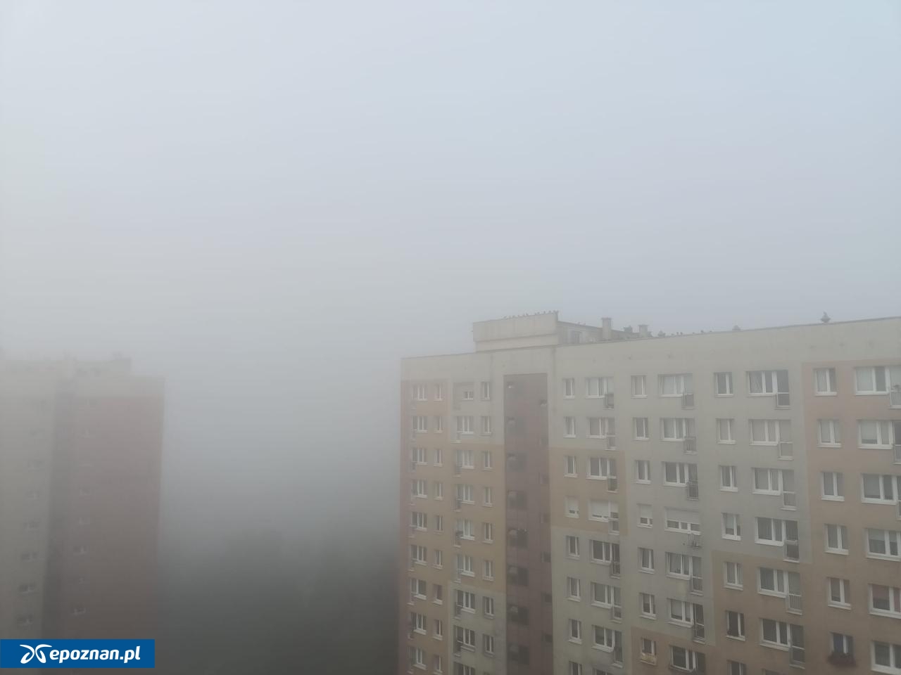Poranek w Poznaniu. | fot. Włodzimierz Hoppel