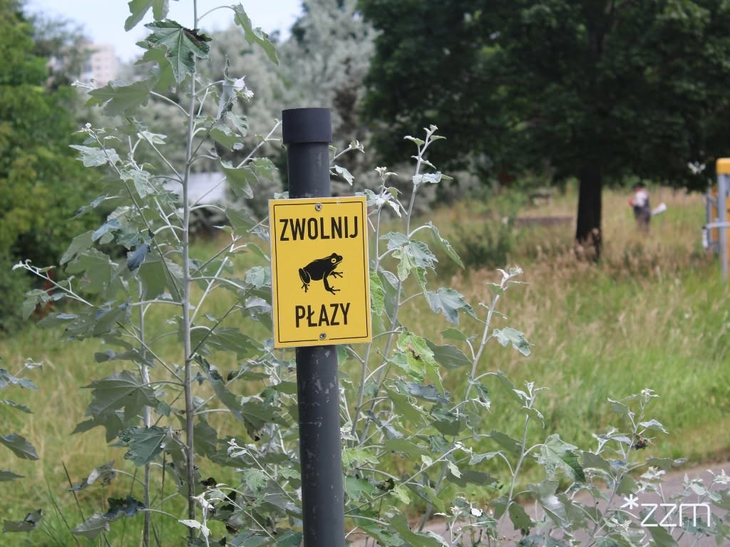 fot. ZZM Poznań