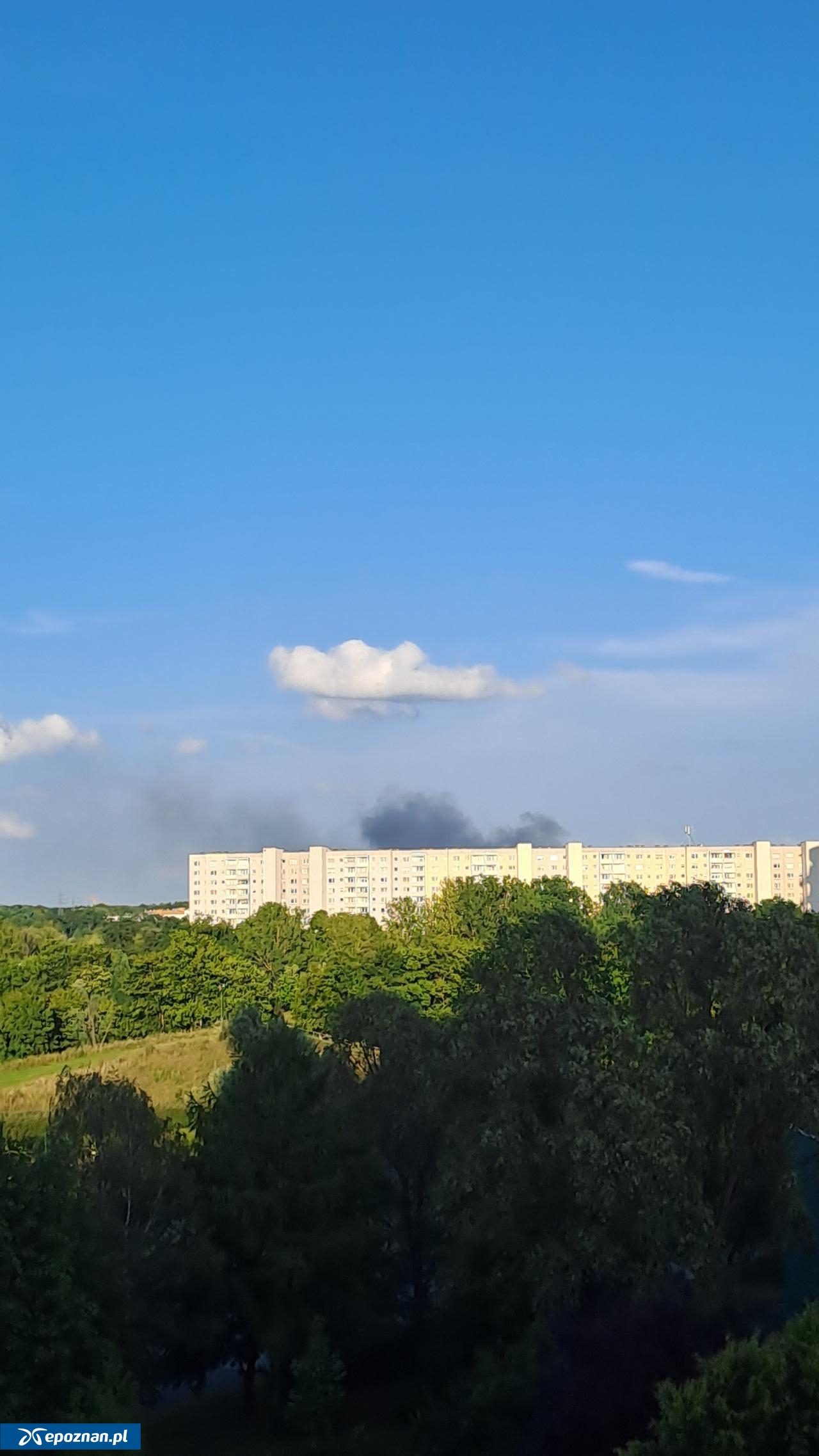 fot. Czytelnicy