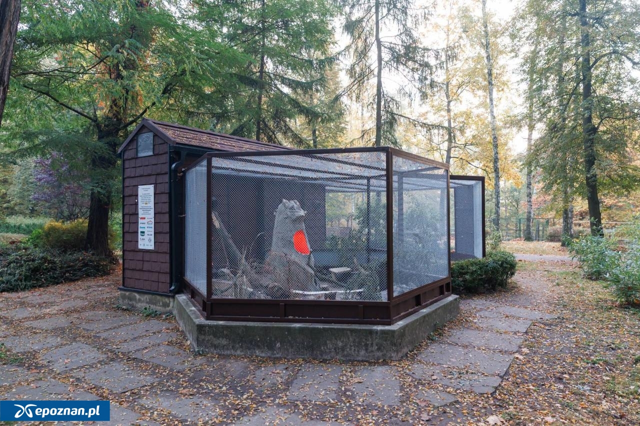 fot. ZOO Poznań Official / Facebook