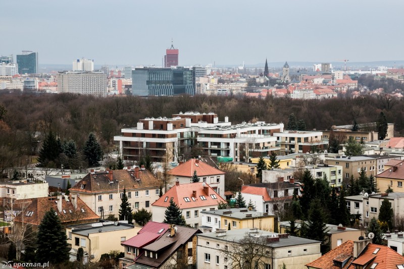 fot. KEDAR Radosław Żyto www.fotokedar.pl
