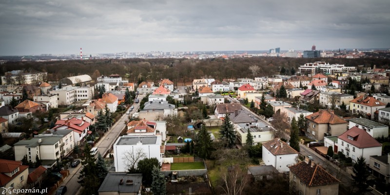 fot. KEDAR Radosław Żyto www.fotokedar.pl