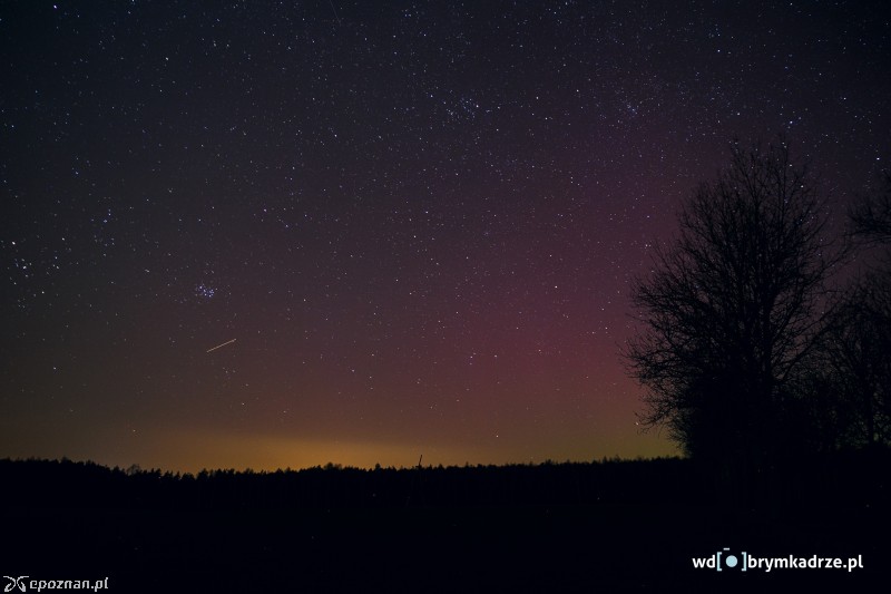 Murowana Goślina | fot. Piotr Owczarek