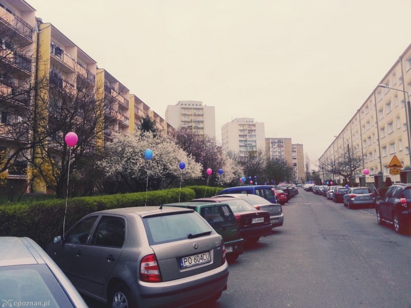 fot. Natalia