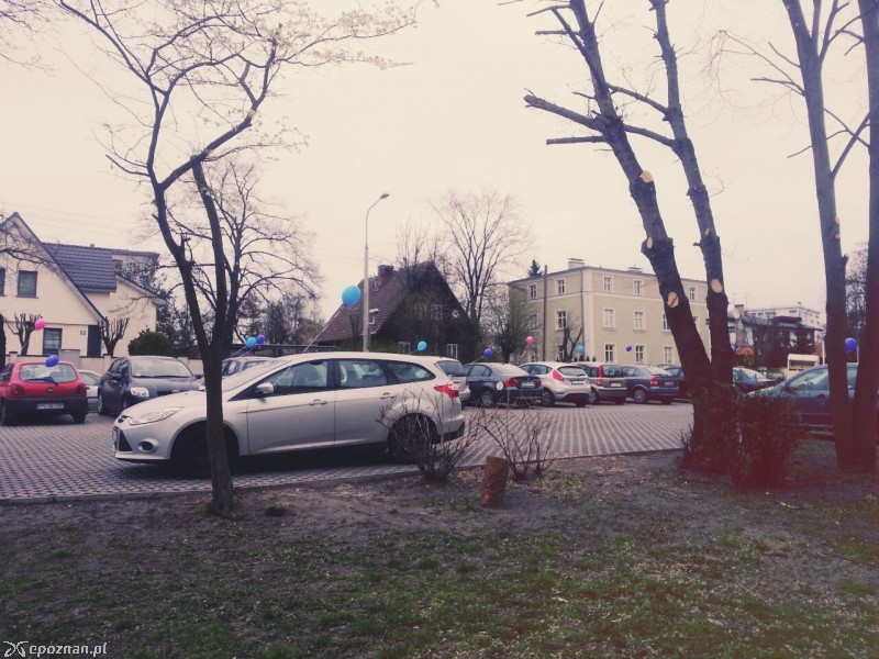 fot. Natalia