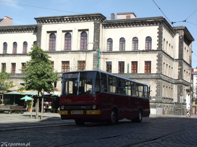 fot. Maciej Wojciechowski