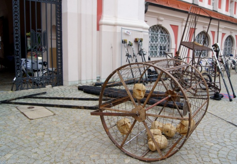 fot. Włodzimierz  Hoppel