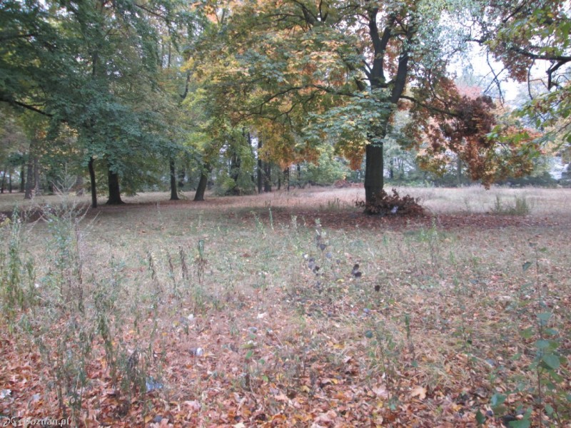 fot. czytelnik