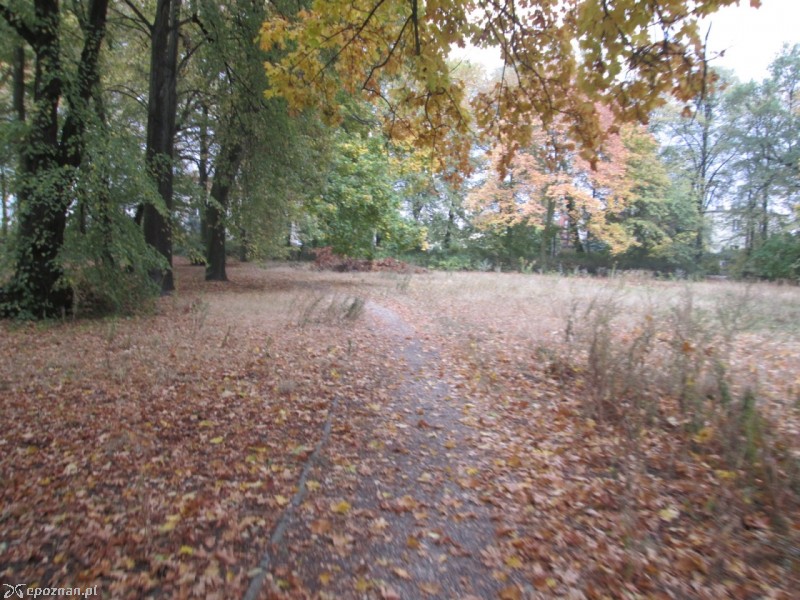 fot. czytelnik