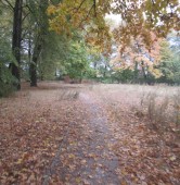 fot. czytelnik