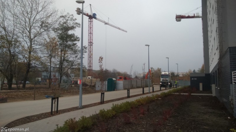 fot. Straż miejska