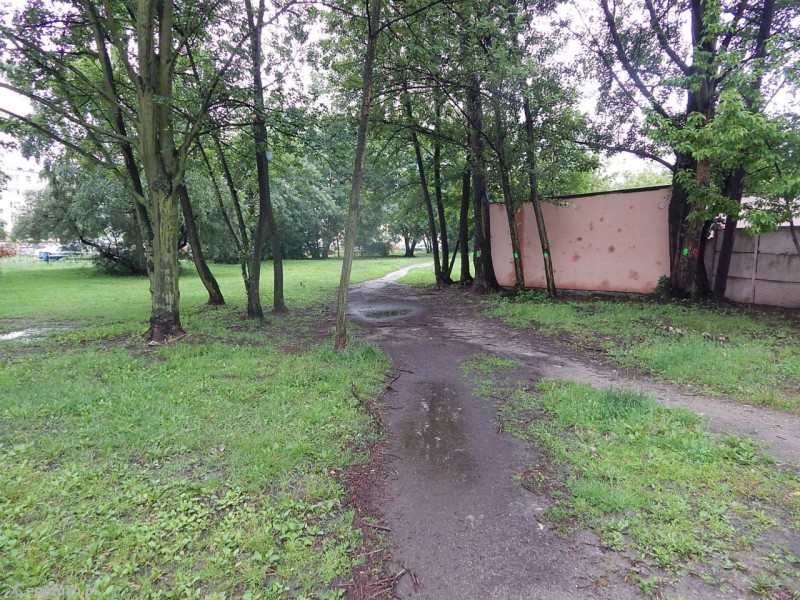 Tak wyglądała wydeptana ścieżka | fot. Artur Gumny / RO Rataje