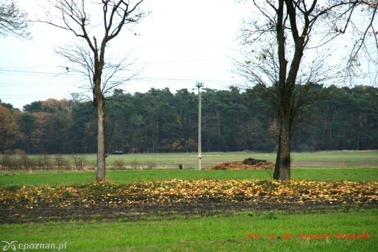 fot. st. kpt. Krzysztof Skrzypczak, rzecznik KP PSP w Rawiczu