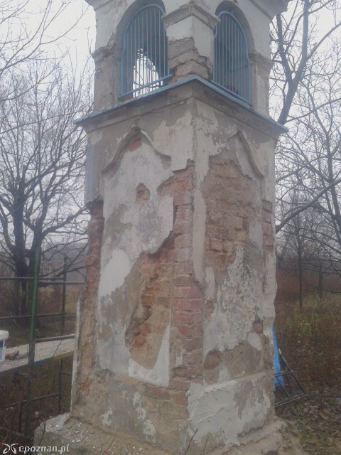 fot. RO Winiary
