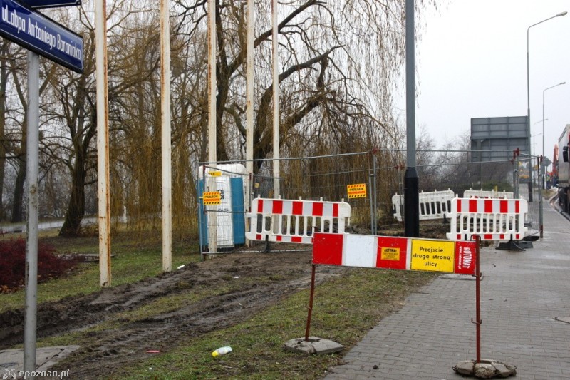 fot. Włodzimierz  Hoppel