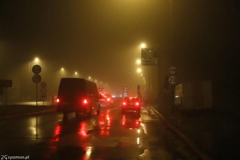 fot. Jacek Molski