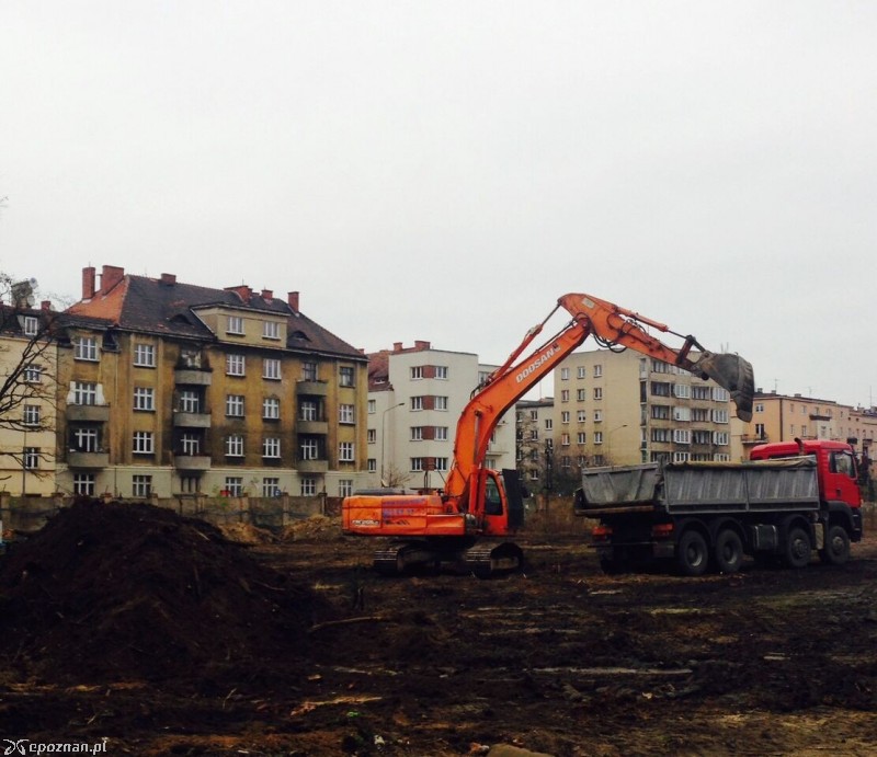 fot. materiały prasowe