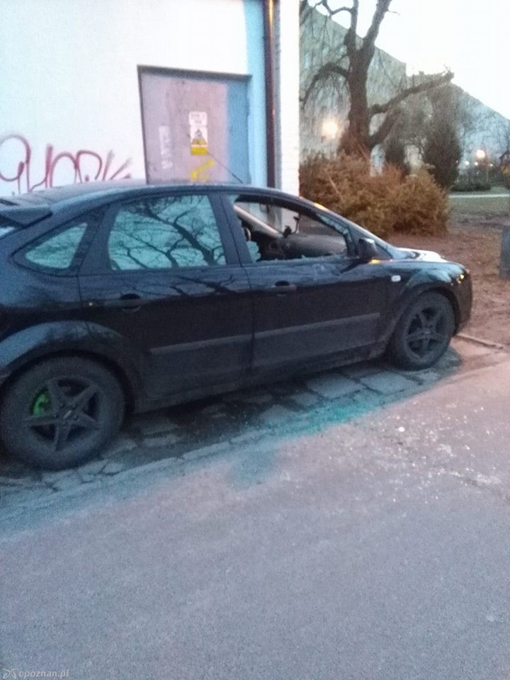 fot. Czytelniczka